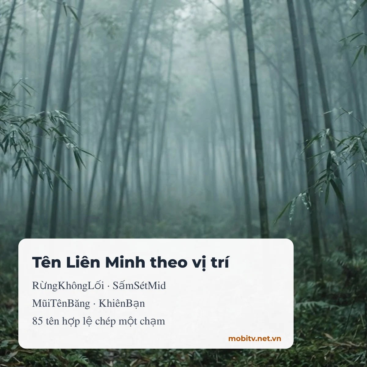 Tên Liên Minh theo vị trí: đường trên, rừng, giữa, xạ thủ, hỗ trợ